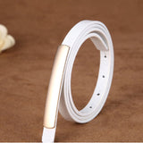 Exquisite fashion style Belt