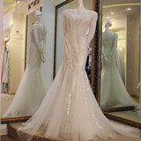 Tulle light grey luxury crystals Dress