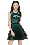 Long Dress Lace Appliques Party